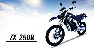 ZX 250R | Motoexpertos